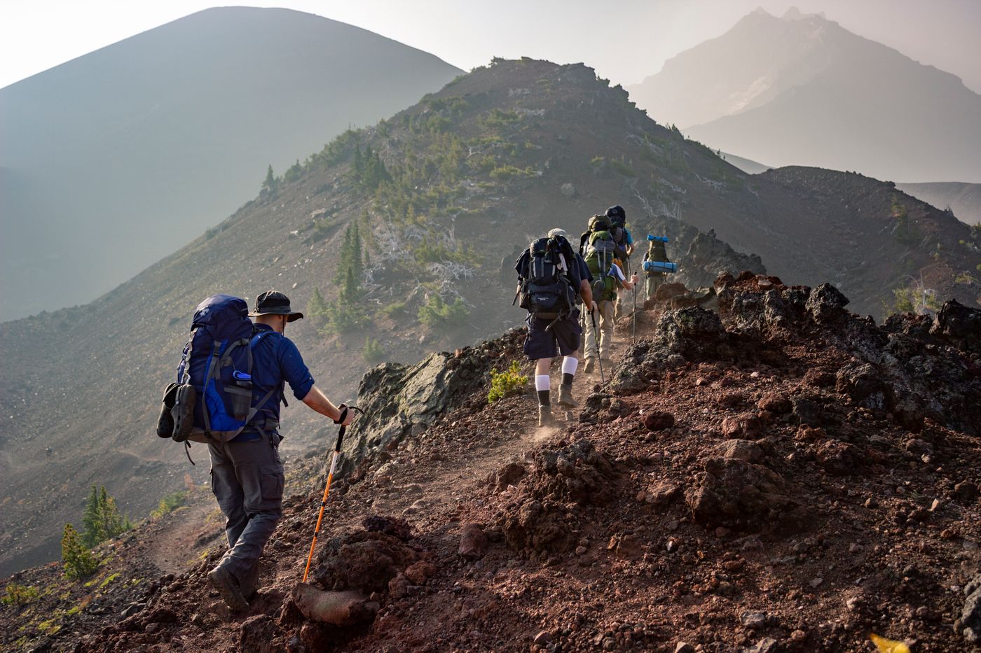 Vysoké Tatry — panoráma štítov nad lesom